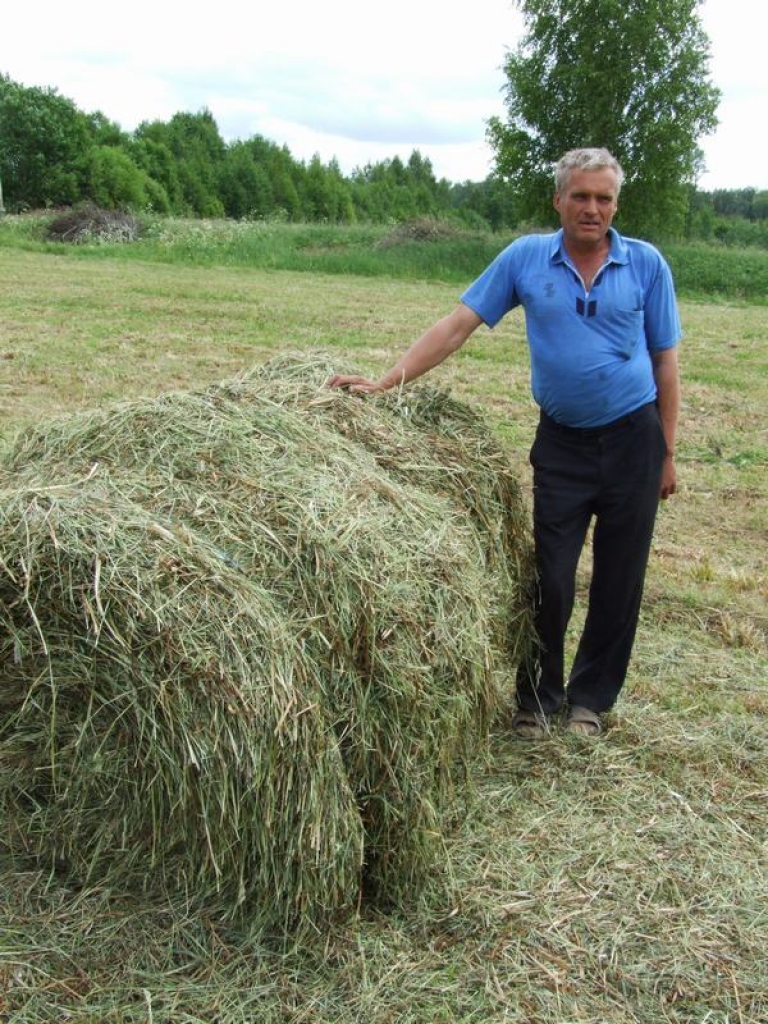 PIRMAIS ŠĪGADA SIENS. Igors Ivanovs uzskata, ka līdz Jāņiem pļautais siens ir viskvalitatīvākais.