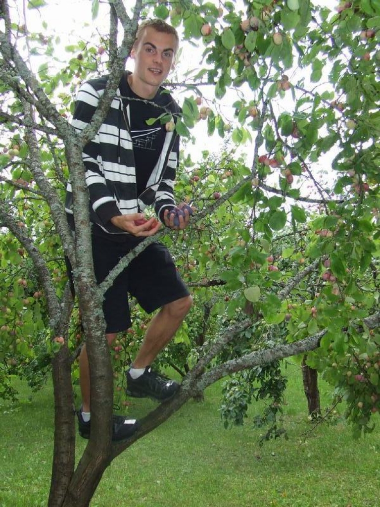 LIELĀKAIS PALĪGS. Mazdēla Jāņa Vaivara pārziņā šovasar viss “Ragāru” augļudārzs.