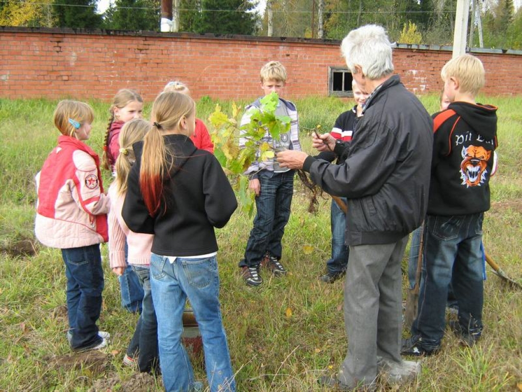 MĀCA BĒRNUS. Skolotājs Dainis Nāburgs rāda, kā pareizi jāstāda kociņi. 