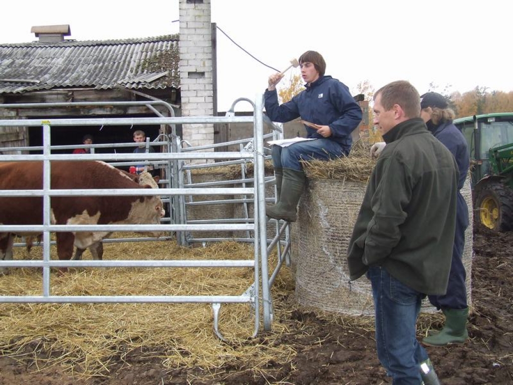 NOSOLĪTS!  Kaspars Ādams —  izsoles vadītājs. 