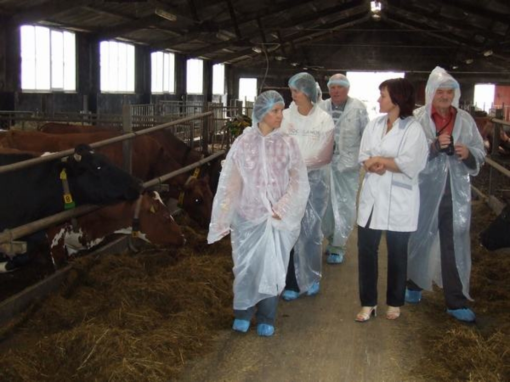 SĀKUMS. Par darba metodēm konkursa “Sējējs — 2008” žūrijai stāsta liellopu kompleksa “Birzes” vadītāja Faina Žabinska (otrā no labās). 