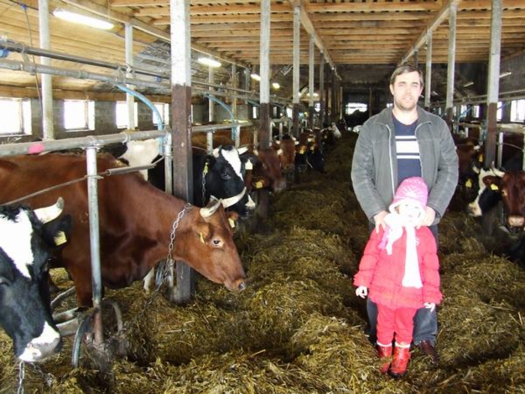 Ienākumu avots. Saimnieks Dairis un mazā  “Tuņķu” saimniecīte pie savām piena devējām.