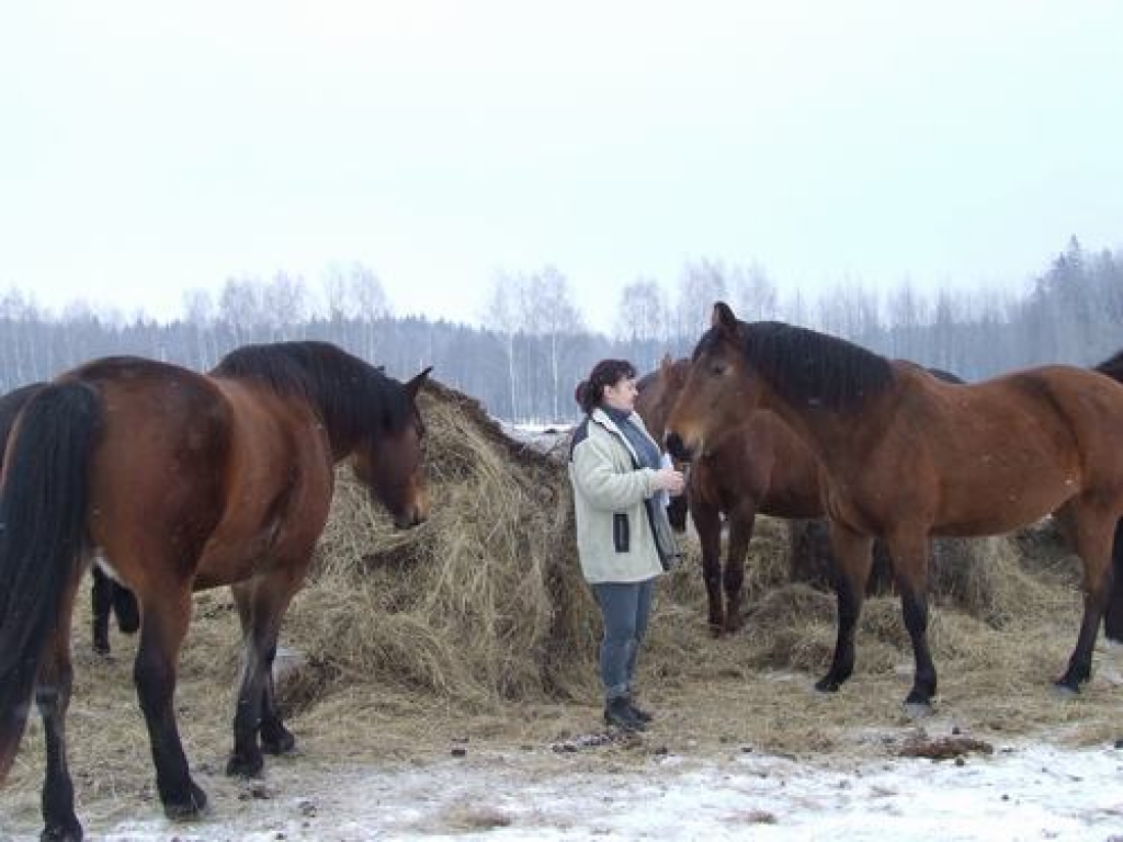 “JĀSAMĪĻO” TRENERE. Mārīte Visocka par zirgiem zina visu, jo daudzus gadus ir viņu trenere. 