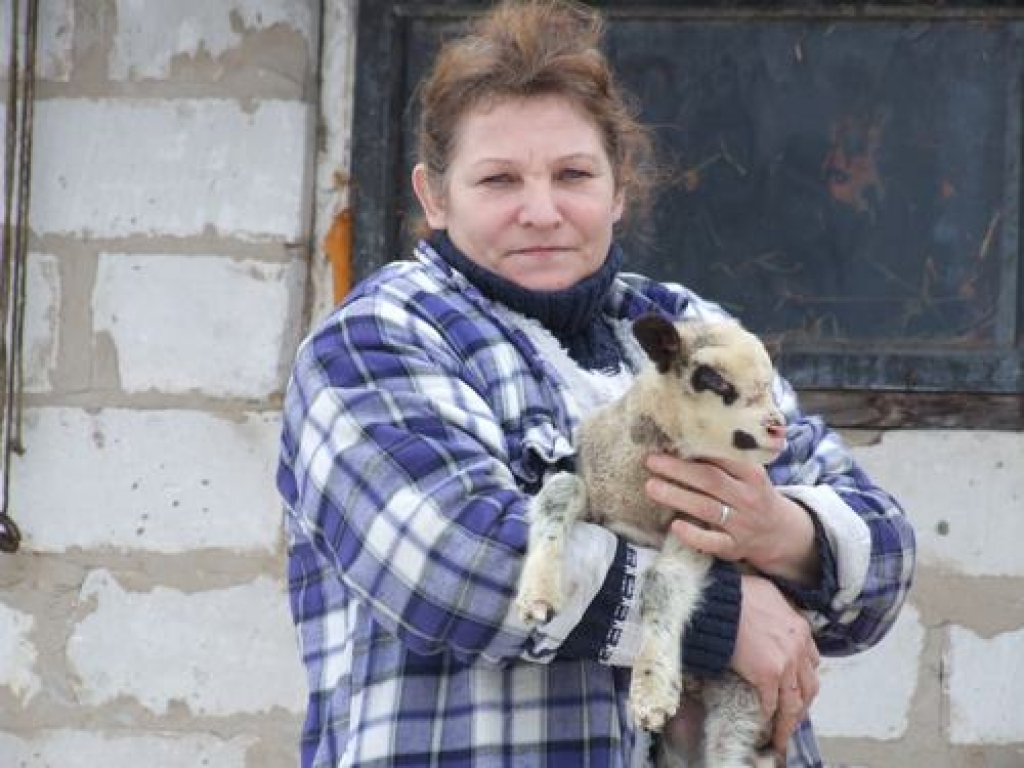 Mazs, bet skaļš blējējs. Ainai Dzērviniecei jau no bērnības patīk aitiņas.