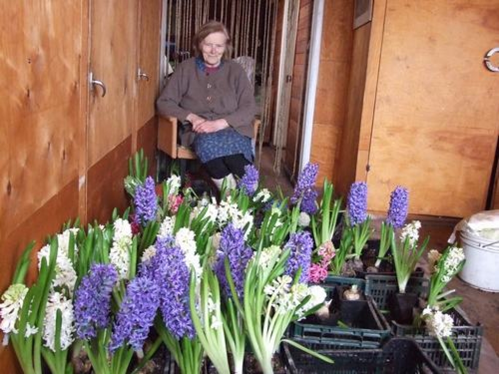 Dāvana sev un citiem. Janīnas kundze priecājas par skaistajiem ziediem.