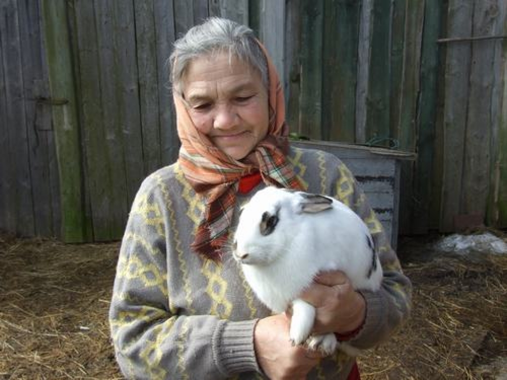 Lieli un mīksti. Aldonas Kārtiņas saimniecībā ir ap trīsdesmit trušu. 