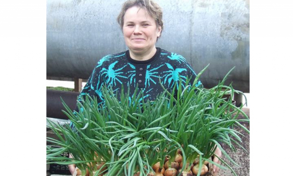 Aug labi. “Rožkalnu” saimniece Māras kundze priecājas par leknajiem lociņiem.