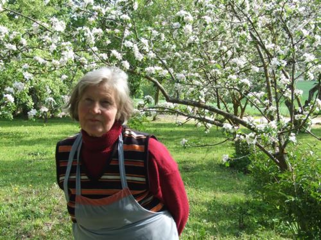Ābeļu “putenī”. Artija Zvirbule priecājas par senču stādīto ābeļdārzu “Zemgaļos”.