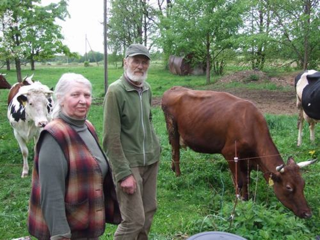 Jādzen uz slaukšanu. Danute un Jānis Rudzīši Neretas pagastā arī ar sešām gotiņām jūtas gana droši.