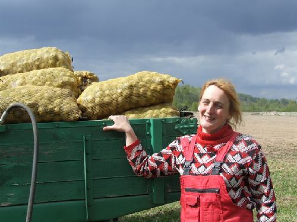 Jāsāk stādīt. “Stabiņu” saimniece Ilze Ozoliņa lēš, ka šogad daudzi kartupeļu audzētāji palielinās stādījumu platības.
