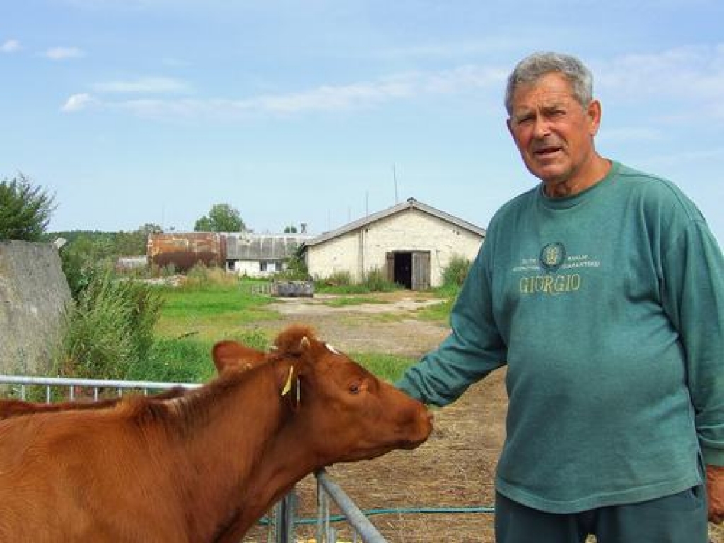 BŪTU LAIKS PAPLAŠINĀTIES. Bioloģiskās saimniekošanas metodēm uzticīgais “Līdumu” saimnieks Bruno Zēliņš pie teliņu novietnēm. 
Autors: Imants Kaziļuns