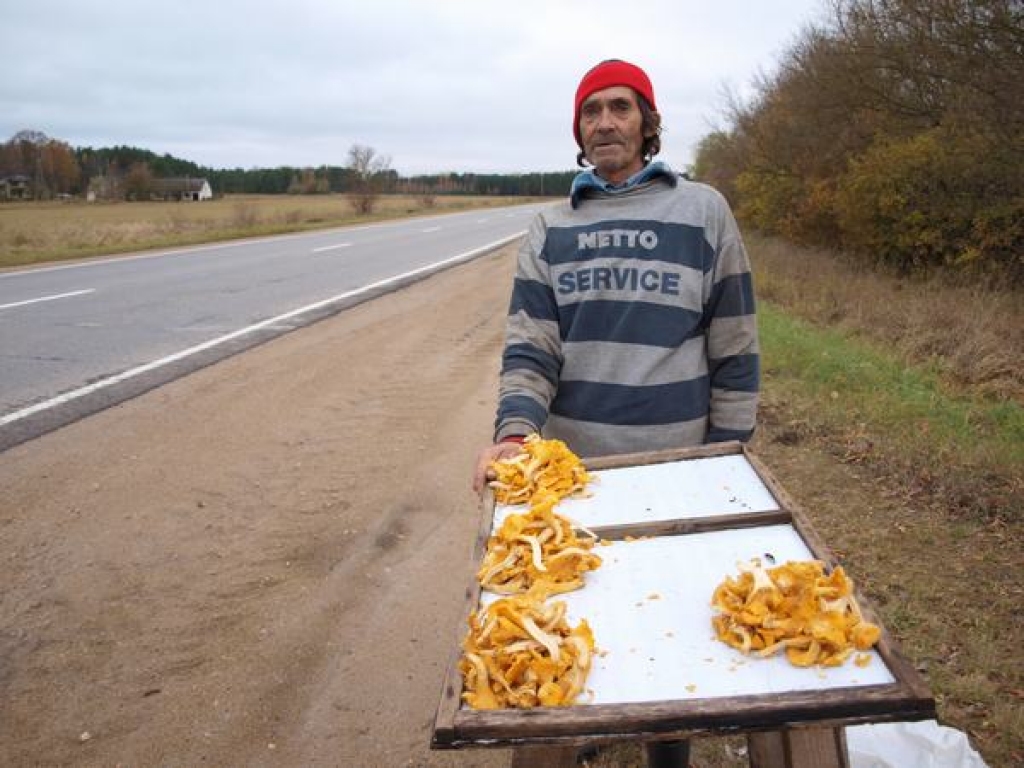 VĒL AUG. Andris Siliņš Sēlpils pagasta mežā nule salasījis gailenes. 
