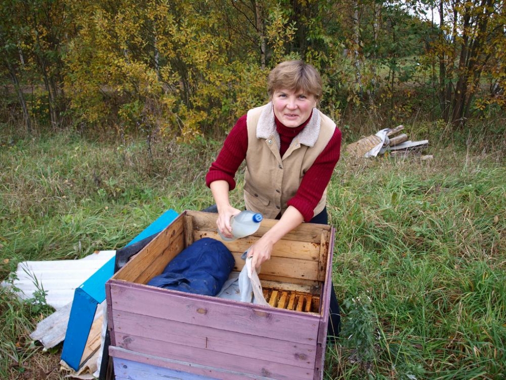 PĒDĒJAIS DARBS. Svetlana Grakoviča saimes apstrādā ar skābeņskābes šķīdumu. Nu tās var gulēt līdz pat pavasarim. 