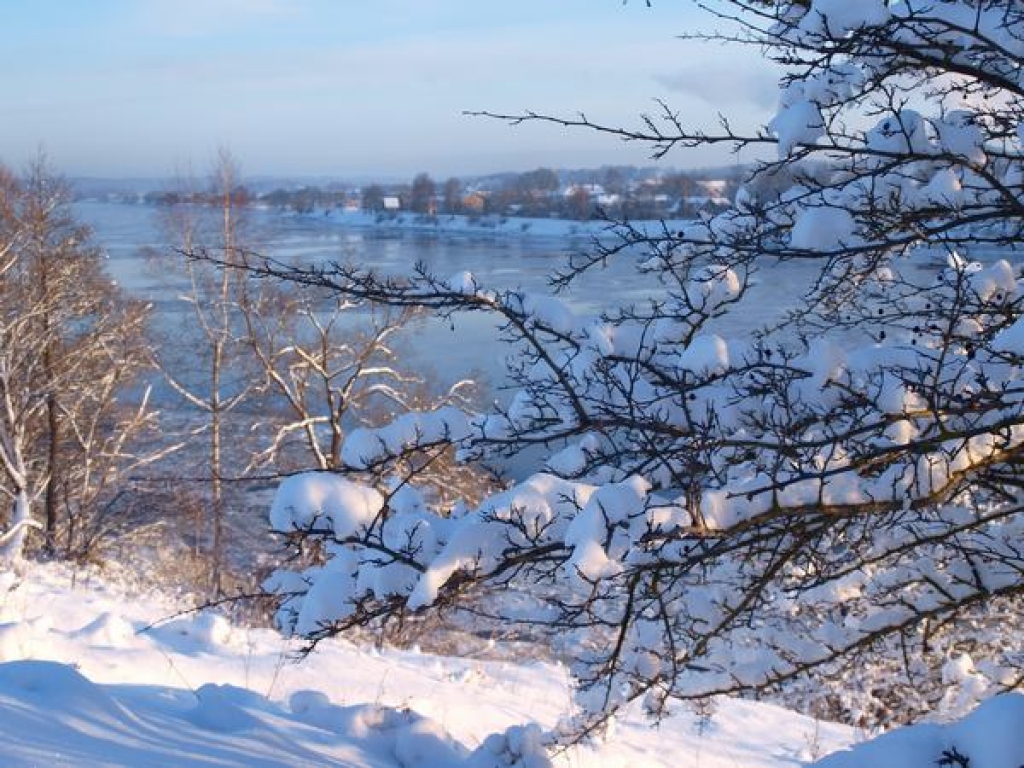 Jaunjelgava