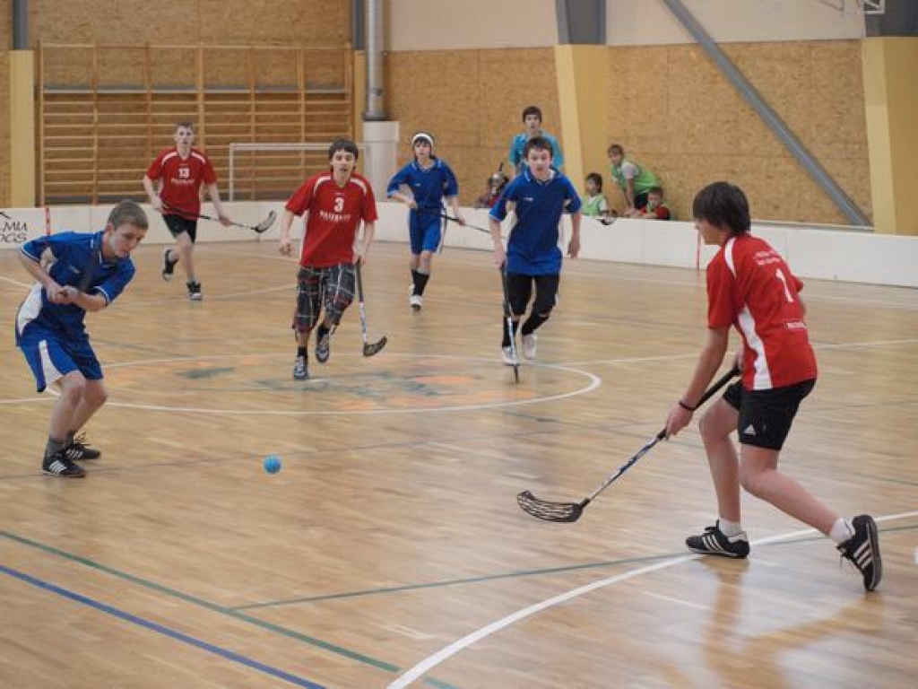 Daudzeses pamatskolas sporta hallē norisinājusies Daudzeses pamatskolas sporta halles gada jubilejas kausa izcīņa florbolā. Tajā piedalījās zēnu komandas no Seces, Kurmenes, Mazzalves, Neretas un Daudzeses skolām. 
Autors: Indulis Burka