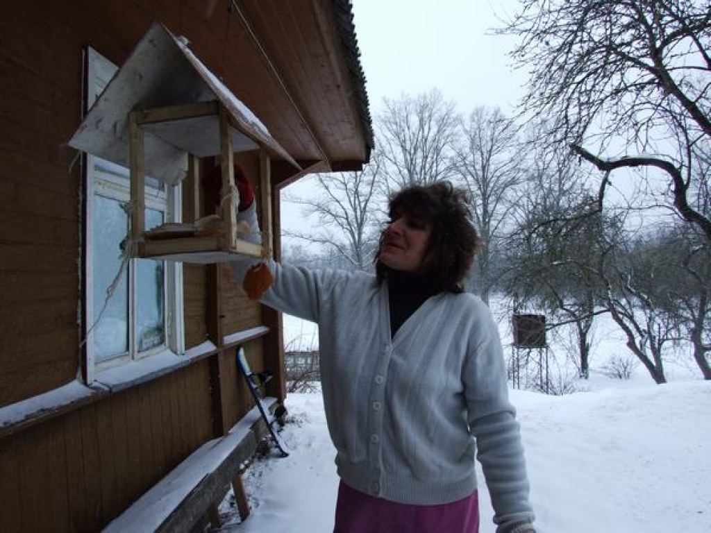 BARO KATRU DIENU. Inga Gābere Pļaviņu novada Aiviekstes pagastā zīlītes baro katru dienu. Kad putnu salido daudz, viņām uzglūn arī kaķis, tomēr klāt netiek. 