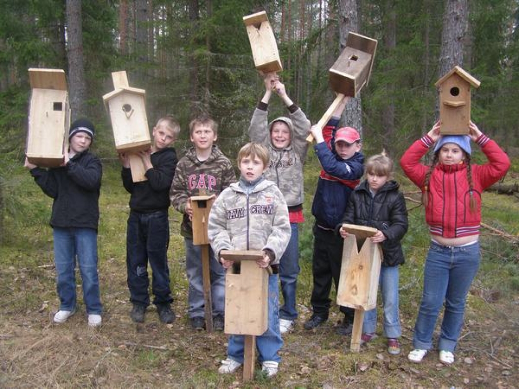 Aluksniesiem.lv raksta attēla aizvietotājs