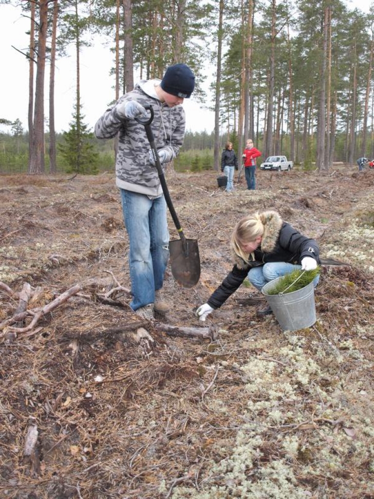 Aluksniesiem.lv raksta attēla aizvietotājs