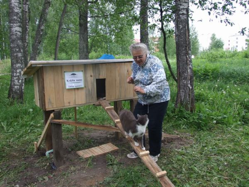Aluksniesiem.lv raksta attēla aizvietotājs