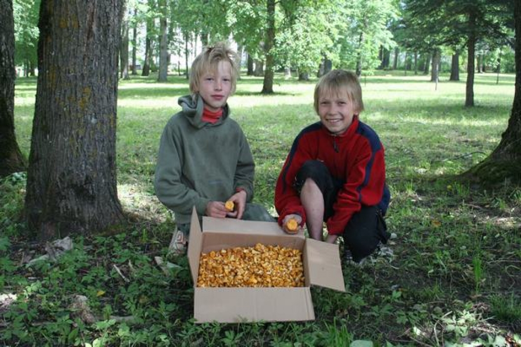 Aluksniesiem.lv raksta attēla aizvietotājs
