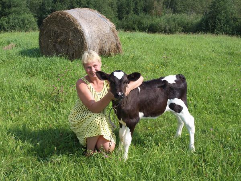 MĪĻUMS. Par telīti priecājas arī  Zigrīdas Riekstas meita Guna Bekasova.