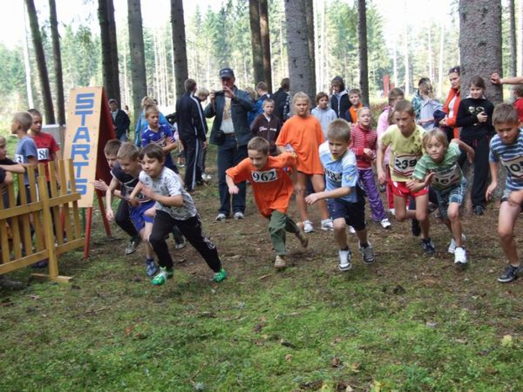 Sacensībās piedalījās 268 dalībnieki. Komandu vērtējumā uzvarēja Kokneses vidusskolas komanda. 
Autors: Sandra Pumpure