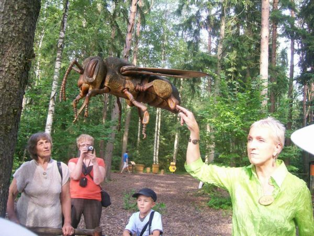 Aluksniesiem.lv raksta attēla aizvietotājs