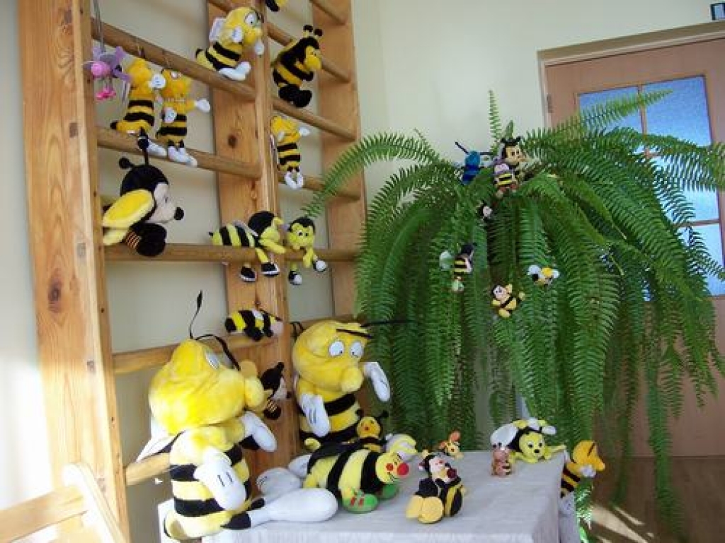  Jauna mājvieta. Ilzes Zalānes bitītes turpmāk dzīvos bērnudārzā “Bitīte”. Antoņinas Midegas foto