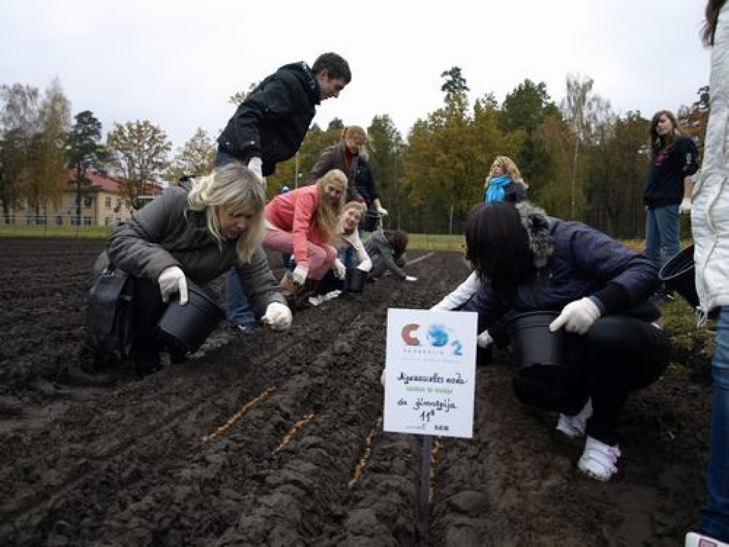 Lai labi aug! Daļa te sēto zīļu veidos ozolu birzi Likteņdārzā. Gintas Zālītes foto