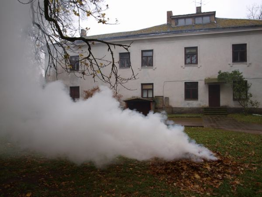 Vēl pirms diviem gadiem Zalves pamatskolā skanēja skolēnu balsis. Viņu nebija daudz — skolā mācījās 46 apkaimes bērni, un vietējās pašvaldības deputāti izlēma skolu slēgt. Šobrīd tā ir vienīgā no slēgtajām skolām bijušajā Aizkraukles...
Autors: Indulis Burka