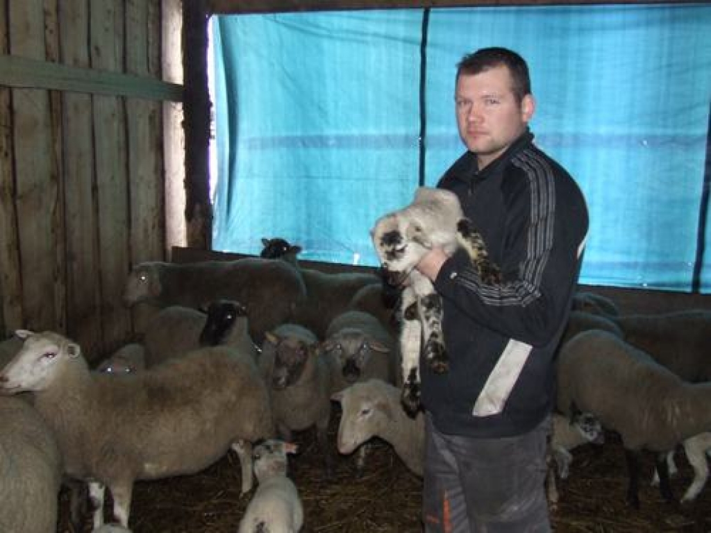 Aluksniesiem.lv raksta attēla aizvietotājs