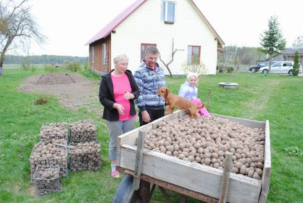 Aluksniesiem.lv raksta attēla aizvietotājs