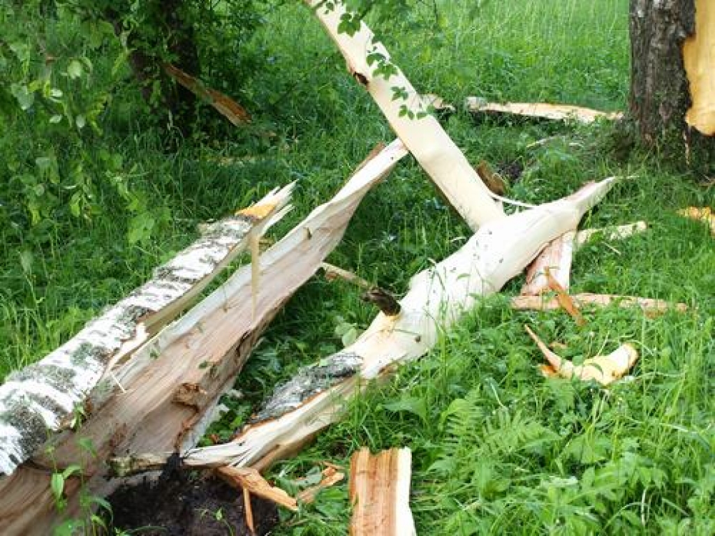 Trešdien aptuveni pusē Latvijas teritorijas pārspēts līdzšinējais 1. jūnija karstuma rekords - jauns maksimālās gaisa temperatūras rekords reģistrēts 12 no 24 novērojumu stacijām. Rekords reģistrēts arī Skrīveros — + 30 grādu. Savukārt...
Autors: Indulis Burka