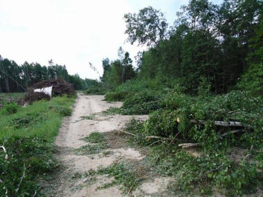 21. jūlija vakarā spēcīgais negaiss, kas virzījās virzienā no Latgales uz Zemgali, izraisīja postījumus AS „Sadales tīkls” elektrolīnijās un bez elektroapgādes atstāja aptuveni 9000 mājsaimniecību. Operatīvo izbraukuma brigāžu darbs...