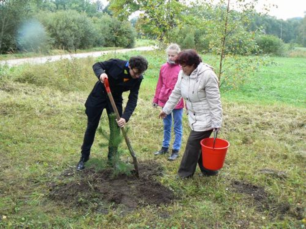 Liecinieces mantiniece. Līdzās vecajai Soda priedei Edgars Bērziņš (no kreisās), Dārta Ungure un Ieva Puniņa iestādīja jaunu. Dzintras Sniedzes foto