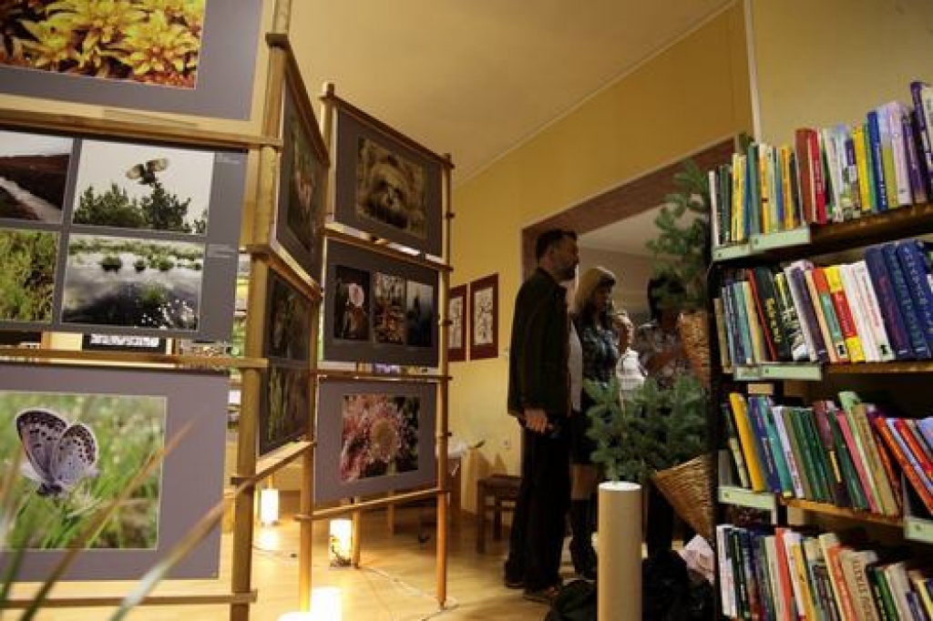 Līdz gada beigām Jaunjelgavas pilsētas bibliotēkā apskatāma izstāde “Purvu noslēpumi”. Apmeklētāji var aplūkot 119 fotogrāfiju un dzirdēt purvā mītošo putnu balsis.