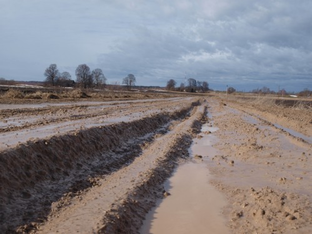 Vēl vakar satiksmes ierobežojumi nebija noteikti ceļam Zalve—Lone. Kravas automašīnas, kurās pieveda granti meža ceļu būvniecības vietai Zalves pagastā, tajā izbraukušas dziļas grambas, kuras ar vieglo automašīnu izbraukt ir gandrīz...
Autors: Indulis Burka