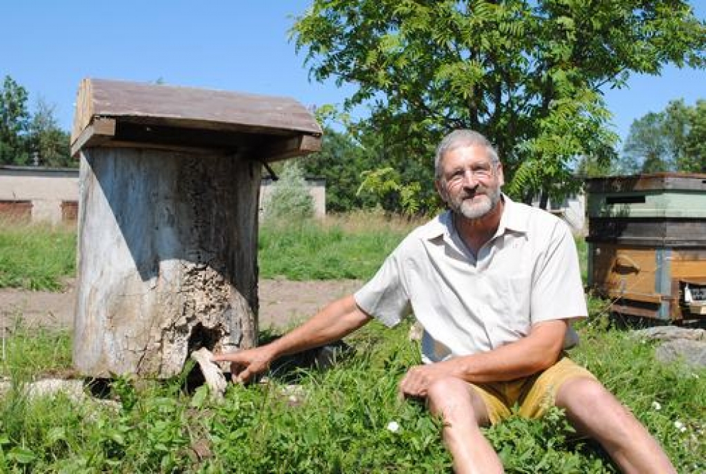 Necerēta veiksme. Par šīgada garšīgāko Latvijas medu atzīts odzienieša Jāņa Kārkla iegūtais. Viņa dravā viens no stropiem izgatavots pēc sena 1912. gada parauga, un bites tajā mājo labprāt.