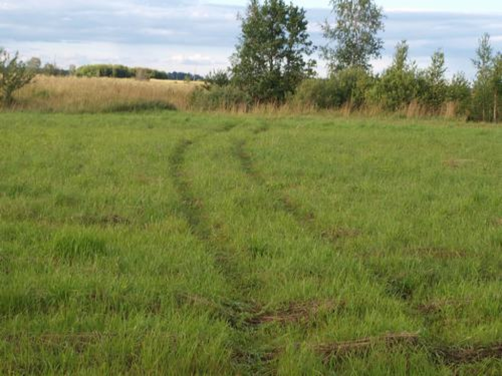 NOSPIEDUMI. Pļavā labi saskatāmi nesen braukuša traktora riteņu nospiedumi.