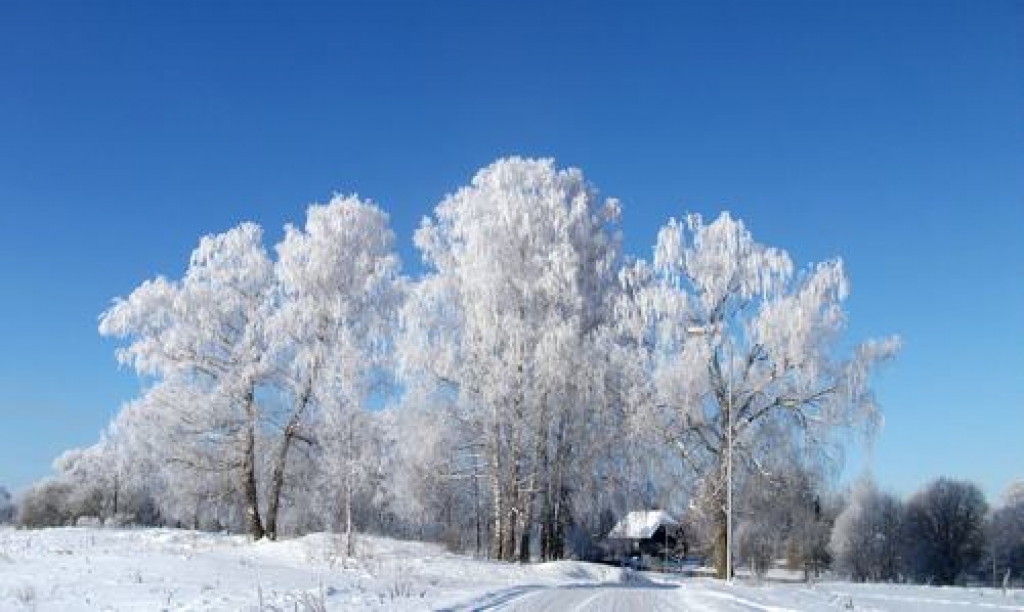 Autors: Sergejs Frolovs