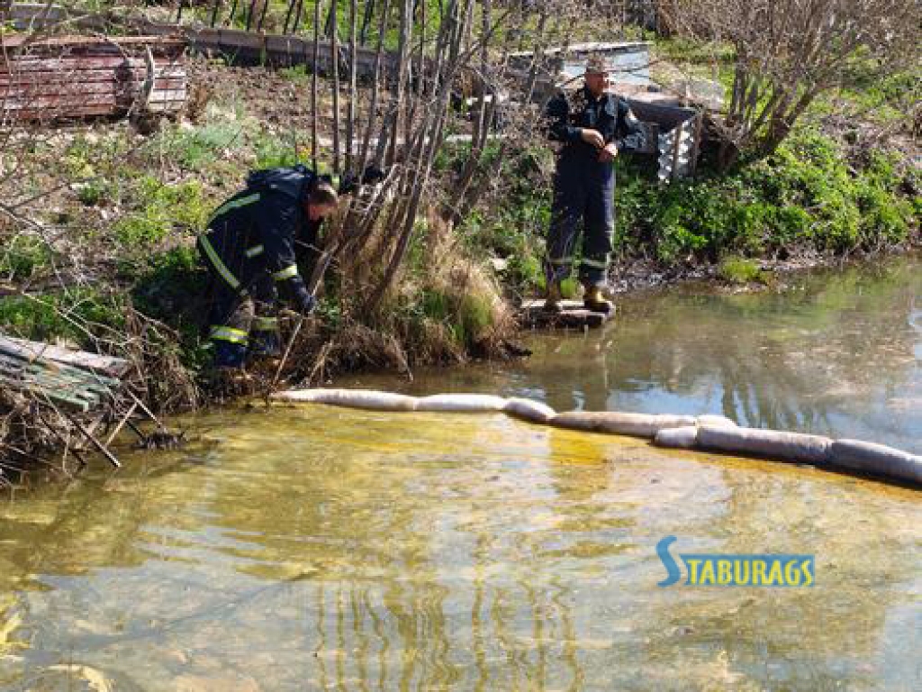 Aizkrauklē, Dzelzceļa ielā, dārzkopības kooperatīvā “Tulpe”, dīķī un gravī konstatēts ievērojams naftas produktu piesārņojums. Atbildīgie dienesti pašlaik piesārņojumu savāc ar absorbējošajām bonām. Vienlaikus meklē piesārņojuma avotu.
Autors: Indulis Burka