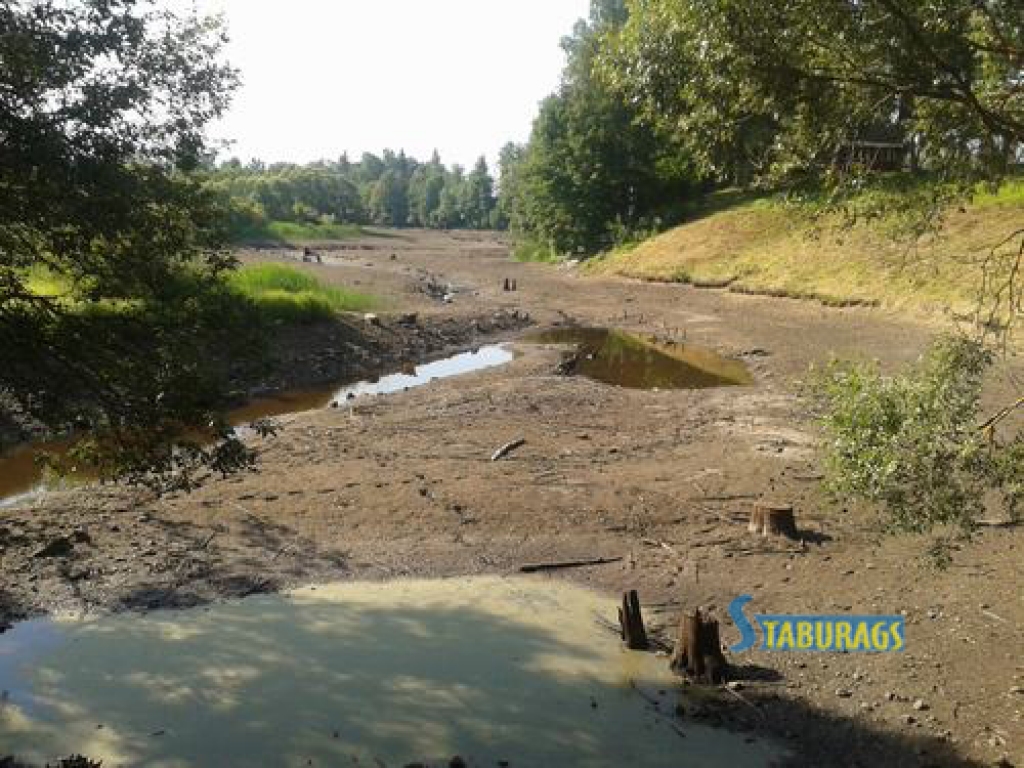 Līču ūdenskrātuve Skrīveros pēc ūdens līmeņa pazemināšanas. Skatienam paveras visai nepievilcīgs skats. Karstā laika dēļ arī zivīm seklajā un praktiski stāvošajā ūdenī klājas ļoti grūti. 
Autors: Indulis Burka