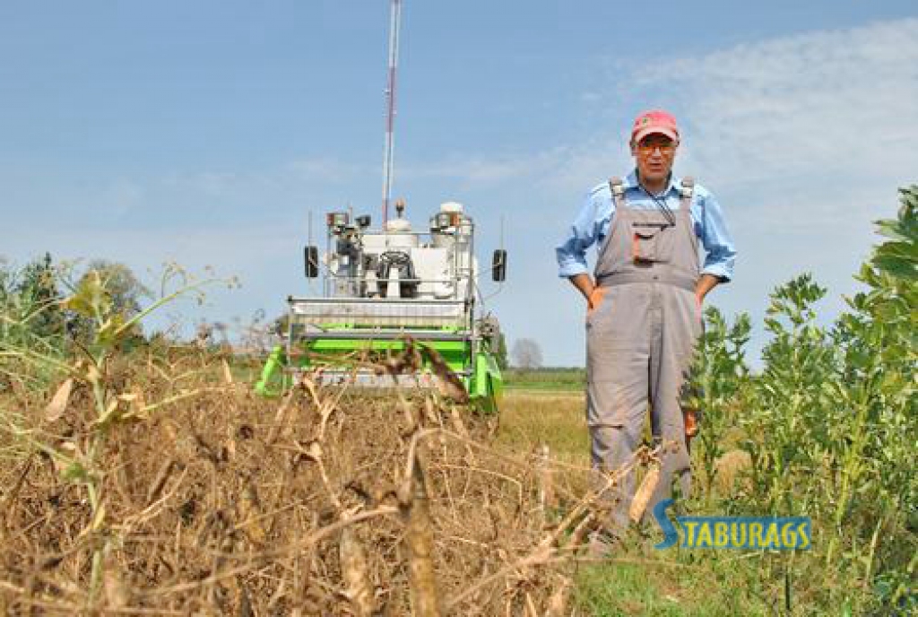 Zirņi gaida savu kārtu. Andrejs Ciršs, Skrīveru zemkopības zinātniskā institūta agronoms, sagatavo tehniku šķirnes ‘Casablanka’ kulšanai.