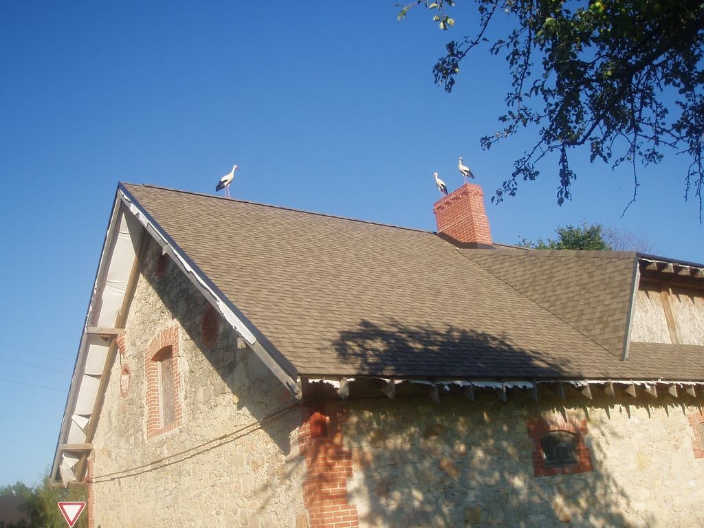 TRĪNĪŠI.  Stārķi nu palikuši tikai fotogrāfijās.   