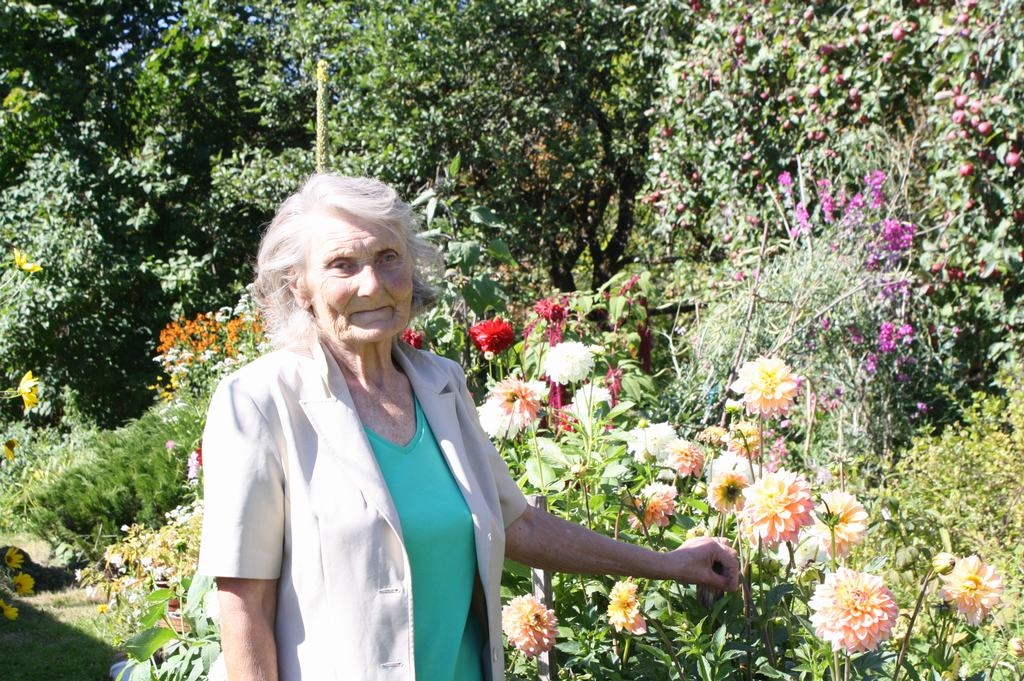 Ziedi rada krāsainību un prieku. Rīt 70 gadu jubileju svin vietalviete Baiba Pētersone.
Autors: Jānis Ozoliņš