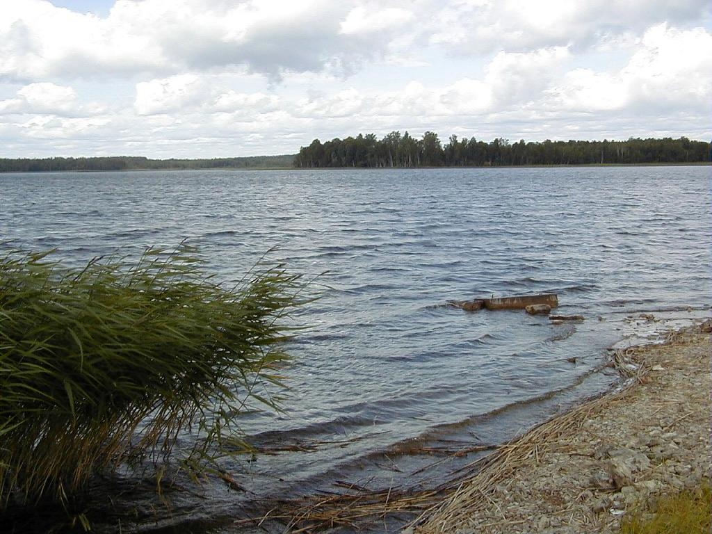 Odzes ezers
Autors: lv.wikipedia.org -