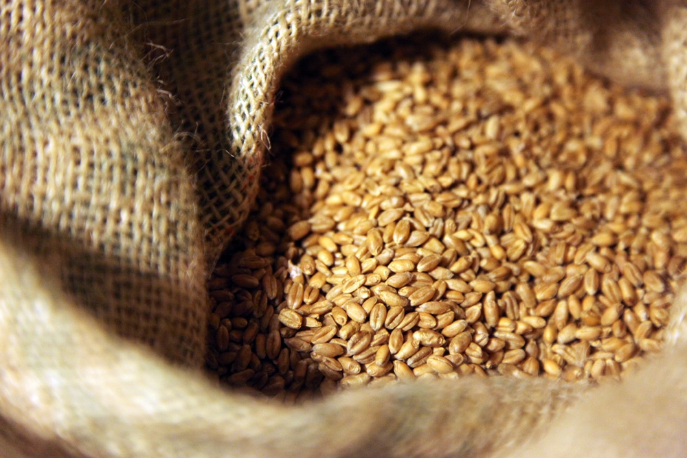 Autors: www.rapsim.lv 