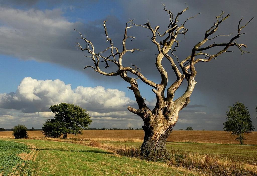 Autors: Žanna Žaka