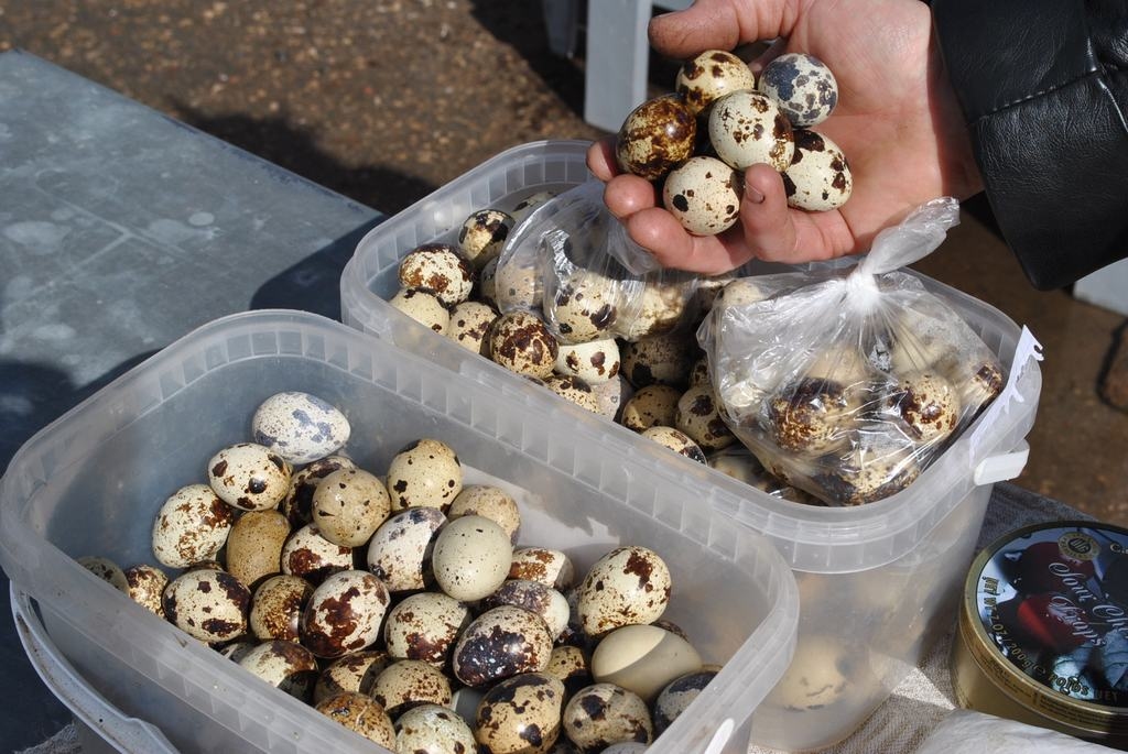 Mulsinošs krāsojums. Saimniece teic, ka pircēji paipalu olas jaucot ar baložu olām.
Autors: Imants Kaziļuns