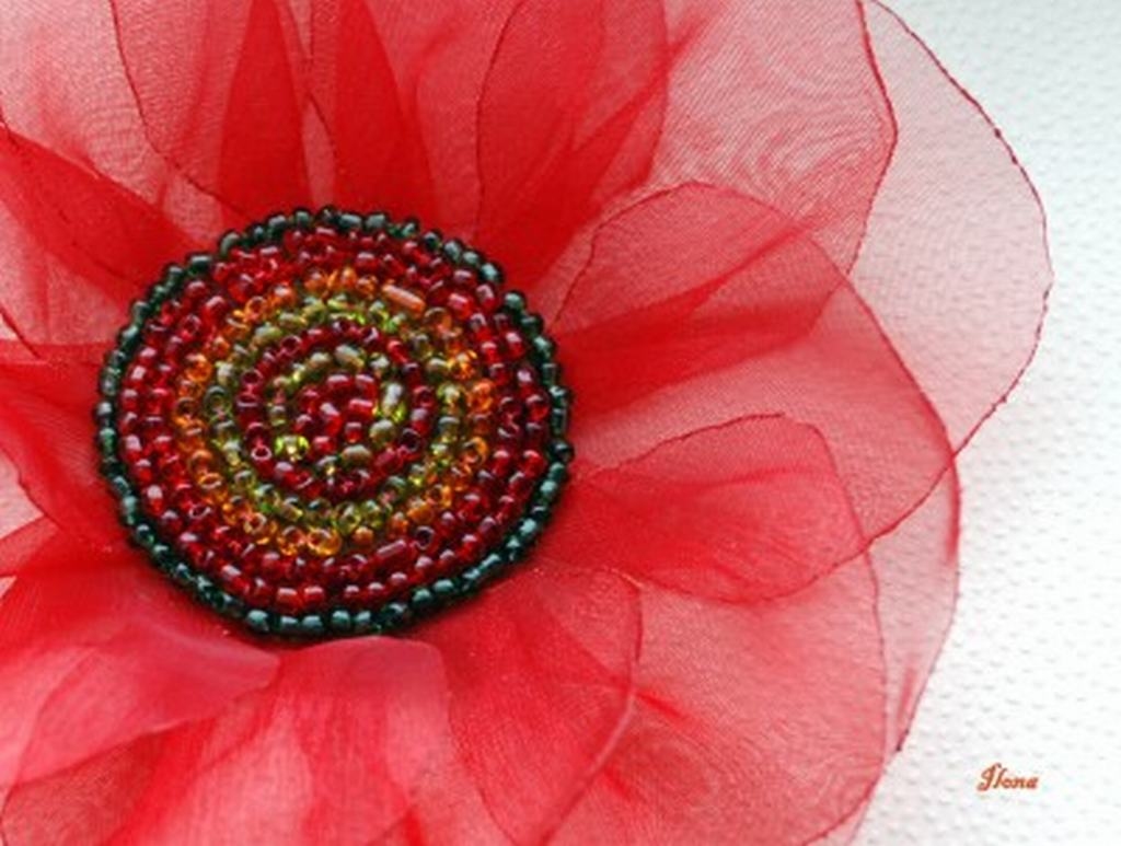 Autors: no amigos.lv